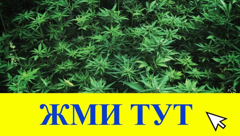 Купить наркотики в Тихорецке